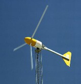 Bergey wind turbine