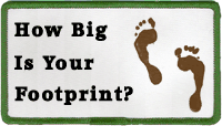 how big is your footprint badge