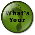 What's your carbon footprint button green